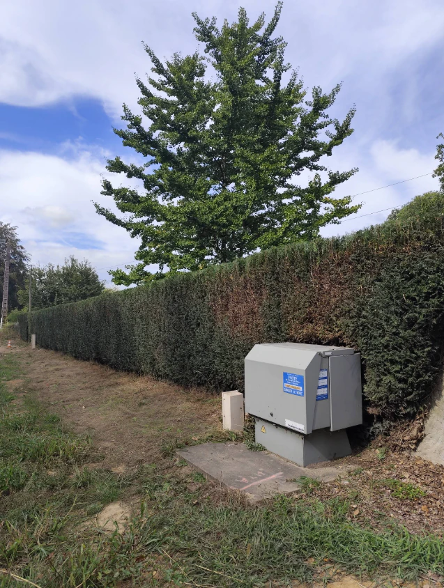 amenagement allee de jardin lorient — après